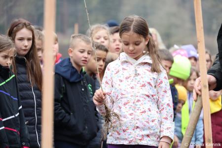 Z zasaditvijo dreves smo uradno odprli kolesarsko povezavo Kamnik–Godič (43)